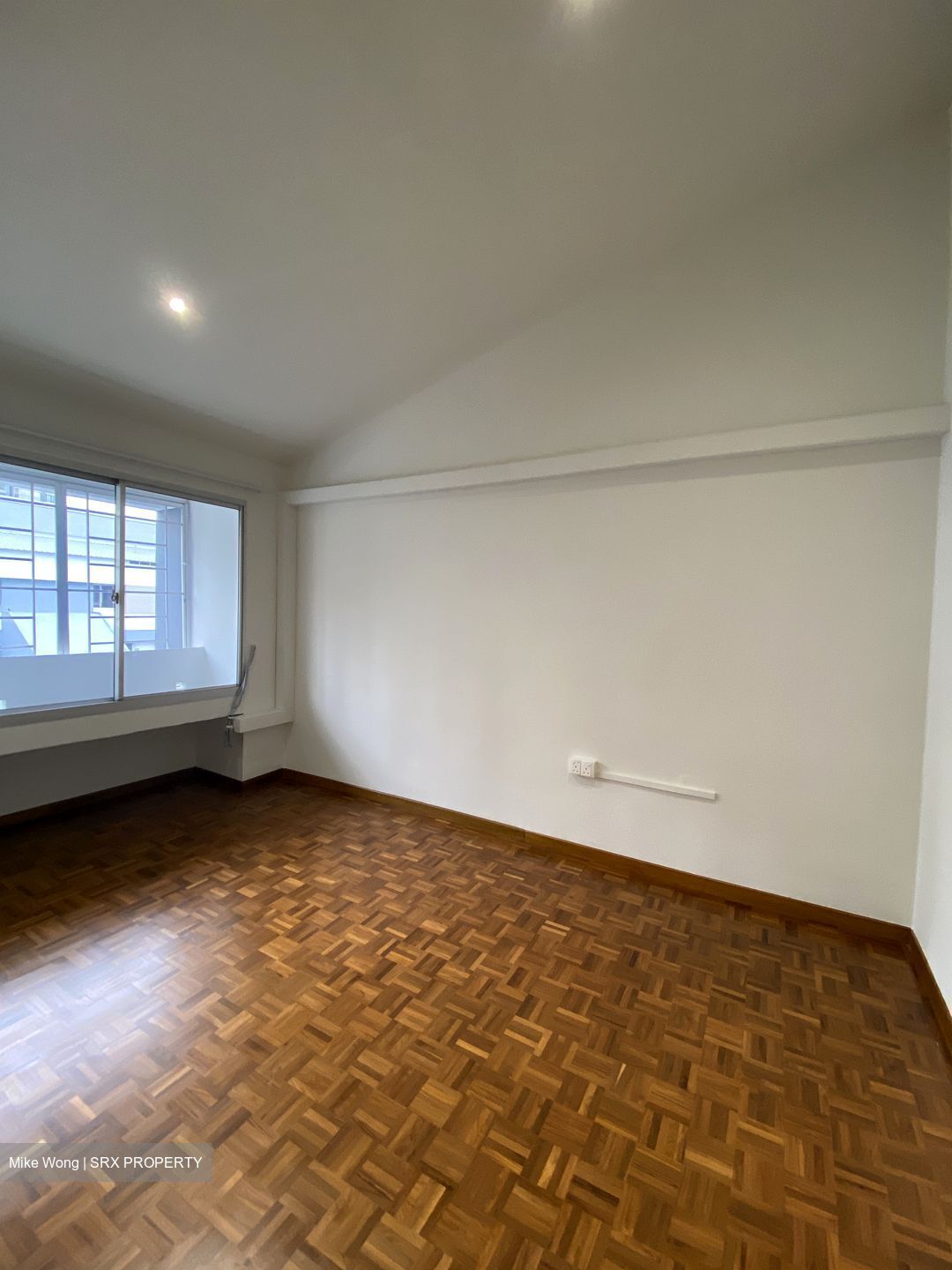Dunearn Road (D11), Condominium #528603741
